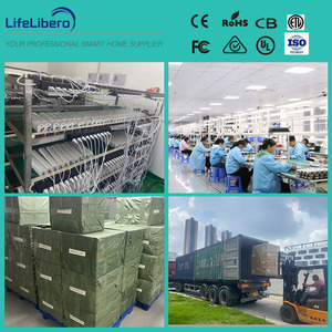 Lifelibero 80Kg Tải Wifi Thông Minh Động Cơ Điện Rèm Theo Dõi Và Rèm Động Cơ Hệ Thống Bộ Dụng Cụ Tự Động Biệt Thự Rèm Mở - Product Image 5