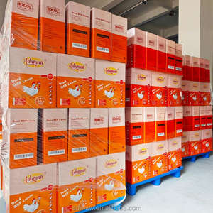 Toptan Yüksek Kaliteli Kurutulmuş Sarı Un Kurdu %55 Yüksek Proteinli Hayvan Yemi Kuşlar Balıklar Evcil Hayvanlar için - Product Image 6