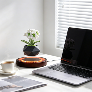 Maceta Geométrica Flotante con Levitación Magnética, Decoración de Escritorio para el Hogar y la Oficina, Diseño Interior Minimalista - Product Image 1