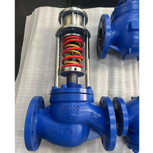 Válvula de Control Autooperada de Acero Fundido WCB de 40 bar, 4 pulgadas DN100, 450 Grados, con Brida, para Vapor - Product Image 2
