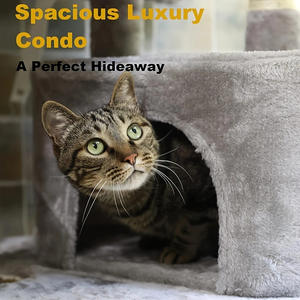 Struttura da arrampicata per gatti in legno moderna Sisal Multi livello di lusso grande pavimento al soffitto alberi di gatto e Scratcher - Product Image 3