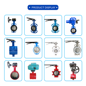 Vanne à vis sans fin manuelle en fonte ductile avec disque en acier inoxydable et siège en EPDM, PN16 DN65, pour le contrôle de l'eau et du gaz - Product Image 3