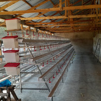 Équipement automatique en acier galvanisé pour poules pondeuses en batterie, cages pour poulets de ferme avicole, vente chaude