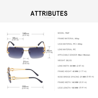 Partagas Lunettes de Soleil Vintage Rétro de Créateur Logo Personnalisé Sans Monture Carrées Double Pont Tête de Léopard UV400 pour Hommes