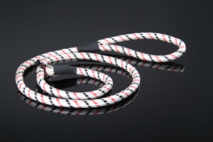 ODM/OEM serie de cuerda de poliéster clásica duradera ajustable Vintage Animal perro pájaro bufanda decorativa directo de fábrica al por mayor - Product Image 6