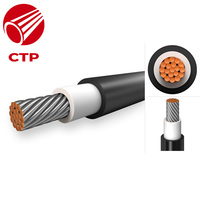 Câble Solaire Photovoltaïque Haute Tension Toronné de Haute Qualité 1x6mm² en Caoutchouc PE ISO/CE pour Systèmes de Panneaux Solaires sur Toiture