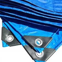 Bâche en PE bleue imperméable pour l'agriculture et les serres, fournie directement par l'usine