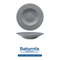 Bol à pâtes Napoli gris Ø 30 cm Ø intérieur 19,5 cm 04 cmY46249 Saturnia