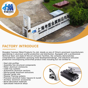 Postazione di Guida per Simulatori di Corse con Struttura di Supporto Stabile per Lunghe Sessioni di Sim Racing Professionale e Allenamento per Competizioni Virtuali - Product Image 6