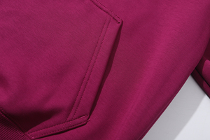 Gahumi Factory 13 Colors Heavy 600g Sweat à capuche en coton Logo personnalisé Imprimé Hoodies Unisex Automne Hiver Manteau Hoodies - Product Image 4