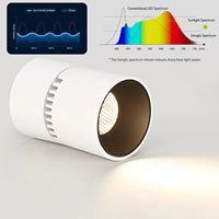 Spot LED Commercial de Plafond 12W, Orientable, Anti-Éblouissement, COB, pour Salon