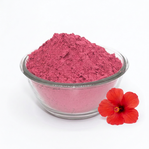 Fournisseur indien de poudre de fleur d'hibiscus très demandée à prix compétitif pour la coloration et la réparation des cheveux - Product Image 2
