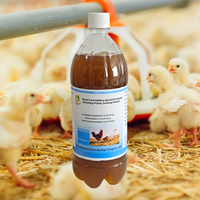 Solution Probiotique Complète pour Volailles Multi-Souches Vitamines A/C/D3 Oligo-éléments pour les Stades de Croissance et d'Élevage OEM Disponible