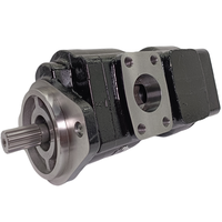 Nouvelles pompes hydrauliques à engrenages en fonte 20/925588 20/925356 7029530002 PGP620B0290AE1**MS7S2C-620B019 OEM 0,5 CV 100 bars 1/4 pouce