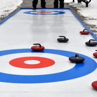 ZSPE Kompakte Faltbare Synthetische Eis-Curlingbahn für Curling-Spielverleih mit Curlingbahn