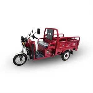 Custom Good DC Motor Three Wheel Electric Tricycle Trike Motorcycle 1000Cc For Cargo