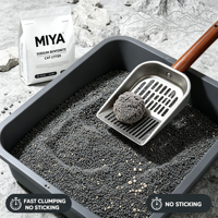 Litière pour chat en bentonite de sodium naturelle, agglomérante, anti-odeurs, contrôle puissant des odeurs, faible poussière, pour plusieurs chats, sable agglomérant pour le nettoyage des animaux de compagnie