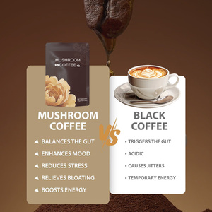 Café en polvo orgánico instantáneo de hongos OEM y ODM, mezcla de hongos 10 +, melena de León para cerebro, memoria de enfoque, inmunidad, café de hongos - Product Image 5