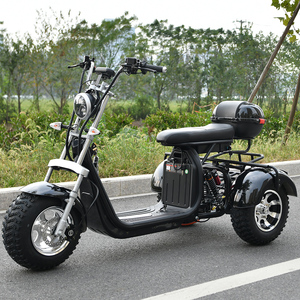 Triciclo EHoodax 05WQ con Logotipo Personalizado OEM ODM Disponible, Neumático Grueso de 18 Pulgadas, Motor Cerrado de 2000W, 30-50 km/h, 30-50 km de Autonomía, Color Negro M - Product Image 4