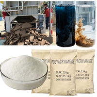 Proveedor Confiable, Mejor Precio, Poliacrilamida, Polímero Floculante, Alta Pureza 99.8%, ISO 9001, Productos Químicos para Tratamiento de Agua