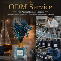 Diffuseur de parfum carré bleu 50 ml à marque privée, senteur Brise Océanique, fabricant d'emballages personnalisés pour marques