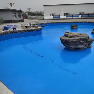 Chất Lượng Cao Acrylic Lỏng Polyurea Vữa Cho Phòng Tắm Hồ Bơi Mái Lớp Phủ Sơn Chống Thấm - Product Image 6