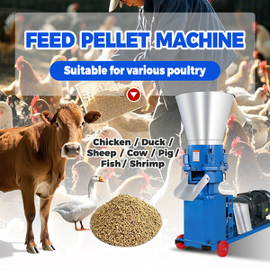Granulateur agricole ménage petit 220V poisson poulet porc volaille alimentation animale granulés Machines de traitement <span class=keywords><strong>prix</strong></span> bon marché - Product Image 4