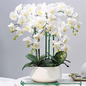Tiges en pot de fleur d'orchidée papillon réutilisables modernes Supports de plantes en plastique <span class=keywords><strong>Support</strong></span> de jardinage Protection Pots de fleurs Jardinières - Product Image 6