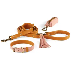 Correa de perro manos libres Collar de perro de cuero Hebilla de metal Correas De Perro Collar de perro y conjunto de correa