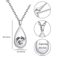Collier pendentif pour chien en acier inoxydable, urne funéraire personnalisée en forme de larme pour cendres avec nom et portrait de l'animal