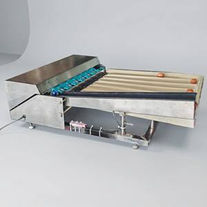 เครื่องคัดแยกไข่สแตนเลสขนาดกะทัดรัด 2000 ฟองต่อชั่วโมง คัดแยกอัตโนมัติ พร้อมระบบชั่งน้ำหนักดิจิตอล เครื่องแปรรูปไข่ 2000 - Product Image 1