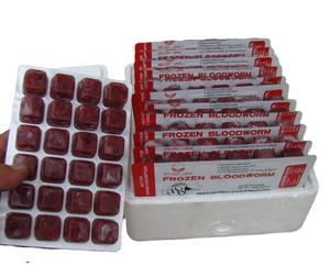 Gusanos de sangre congelados para alimentación animal - Product Image 3