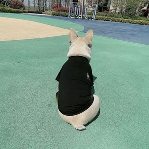 T-shirts assortis brodés d'animaux mignons pour propriétaire et chien, en coton noir, vêtements de loisirs d'été, ensemble de vêtements pour animaux de compagnie - Product Image 6