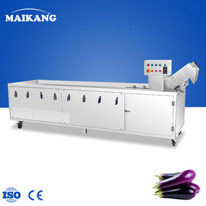 Machine de lavage alimentaire à l'ozone intégrée haut de gamme pour piments, haricots, fleurs comestibles – Équipement de production précis à haut rendement - Product Image 4