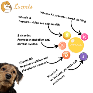 All-Stage Nutrition Foundation Pet Multivitamin Powder-Soporte inmunológico y salud de la piel y el abrigo-Compone deficiencias nutricionales - Product Image 3