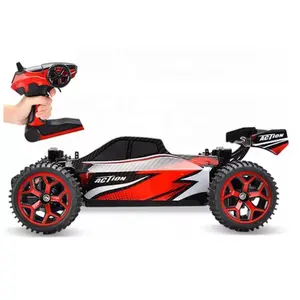 High speed 1 18 scale 2.4G battery remote control rc car