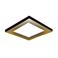 Plafond métallique de haute qualité pour ascenseur de passagers, design moderne, garantie 1 an, fabriqué dans le Jiangsu