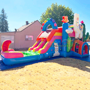 Llama double lane wet or dry combo <b>inflatable</b> bounce <b>house</b> and water slide bouncy castles for sale - Product Image 3