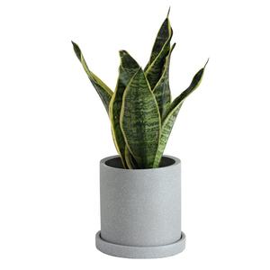 Pot de fleur cylindrique minimaliste moderne nordique pot de fleur en béton de haute qualité gris froid avec plateau - Product Image 1
