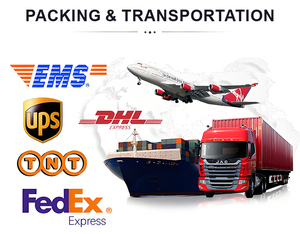 2025 Hàng Đầu Ban Đầu Thương Hiệu Người Đàn Ông Của Giản Dị Retro Giày Thể Thao Chất Lượng Cao Sb Dunk Thấp Powerpuff Cô Gái Bong Bóng Ren-Up - Product Image 4