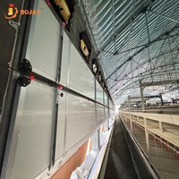 Système de cages à poulets automatiques de type H pour élevages avicoles commerciaux, équipement pour poulets galvanisé à chaud
