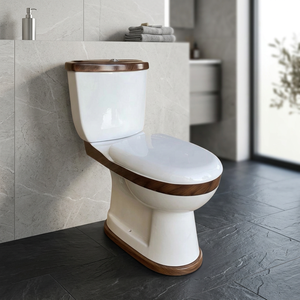 Aqua <b>Pan</b> Two Piece WC <b>Ceramic</b> Washdown Water Closet Pink Color Multi Color Bathroom Toilet <b>Set</b> - Product Image 5