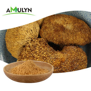 Extrato 3% hericenones do pó do cogumelo juba do leão de <span class=keywords><strong>Mycelium</strong></span> - Product Image 4