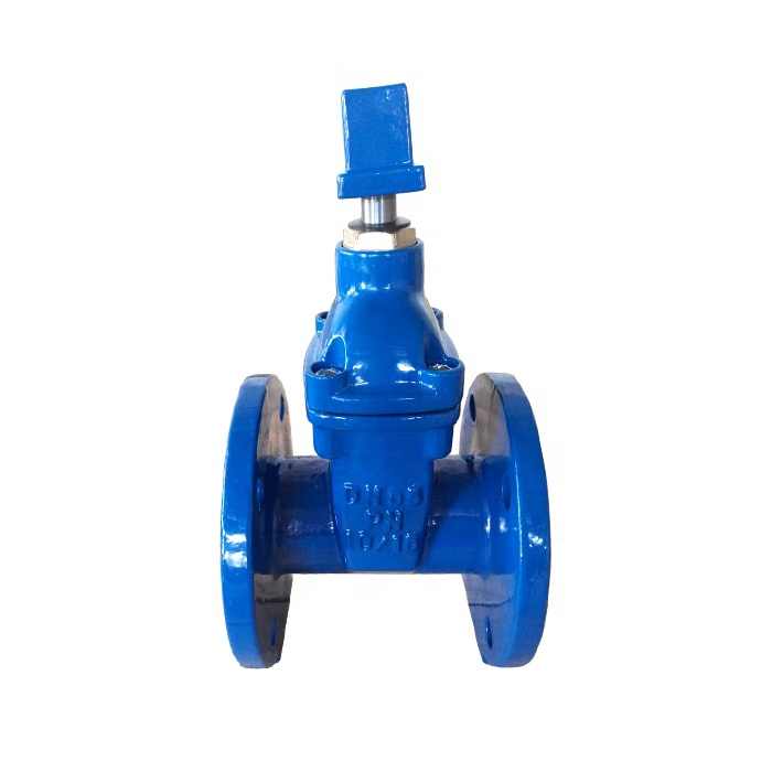 Ductile Cast Iron GGG50 DIN standard DIN3352 F4 Resilient Seated NRS Sluice Gate valve DN200 PN16