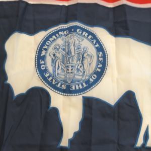 Hot Sale Wyoming Embroidered 3X5FT U.S. 50 State Flags Durable 210D Oxford Cloth Handmade Promotional Strong And Resistant - Product Image 2