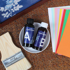 <span class=keywords><strong>Kit</strong></span> de peinture solaire <span class=keywords><strong>Cyanotype</strong></span> recharge haute sensibilité A/B 50ml débutant bricolage Art avec tutoriel papier d'impression solaire sur laque - Product Image 1