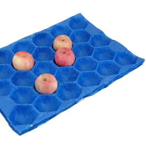 Biodegradable Molded Pulp Alveoli Fruit Packing Cardboard Box Tray Liners for Avocado Apple Tomato