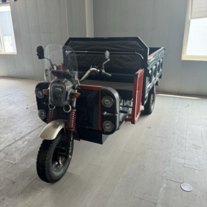 China Precio de Venta caliente <span class=keywords><strong>Tuk</strong></span> Motocicleta Taxi 2000W Eléctrico Tres ruedas Pasajero <span class=keywords><strong>Rickshaw</strong></span> eléctrico - Product Image 4