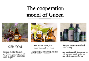 Chinesische Fabrik Großhandel Bulk Pure Natural <span class=keywords><strong>Oil</strong></span> für <span class=keywords><strong>Massage</strong></span>-und Hautpflege produkte mit Best Price Pfefferminz öl - Product Image 5