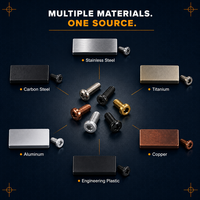 Fabrication de vis OEM sur mesure, surface en oxyde noir de zinc nickelé, M1-M30, acier au carbone, laiton, faible MOQ, fourniture directe d'usine